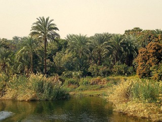 IMGP1474.JPG