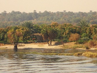 IMGP1492.JPG