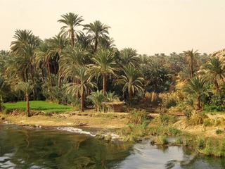 IMGP1500.JPG