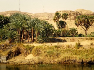 IMGP1517.JPG