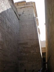 IMGP1556.JPG