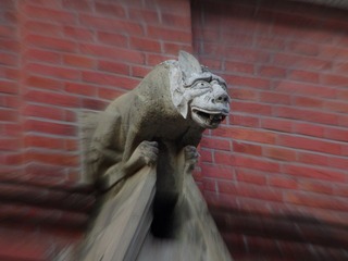 IMGP1274.JPG