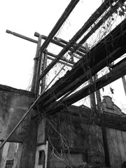 P1000307.JPG
