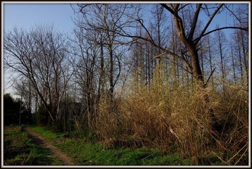 IMGP1514.JPG