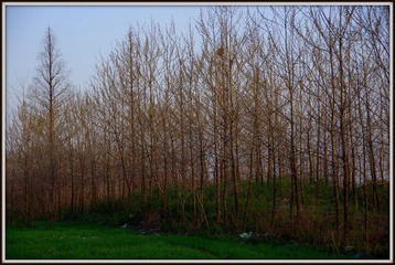 IMGP1557.JPG