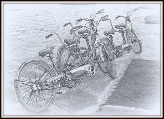 IMGP2177.JPG