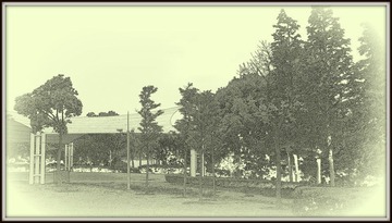 IMGP2193.JPG