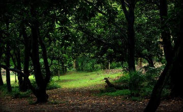 IMGP2830.JPG