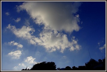 IMGP3358.JPG