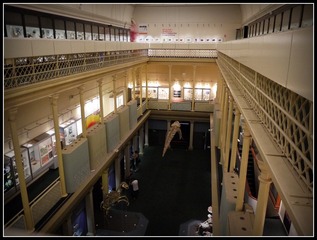 P1020460.JPG