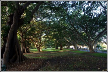 IMGP4820.JPG
