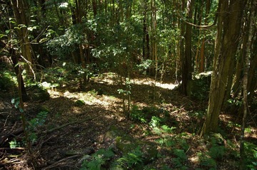 IMGP5455.JPG