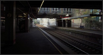 IMGP5053.JPG