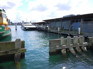 P1030032.JPG