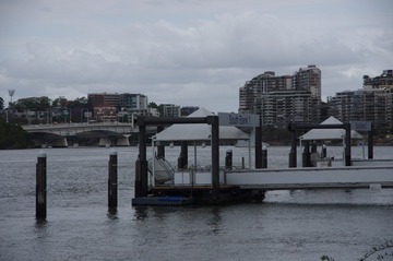 IMGP5911.JPG