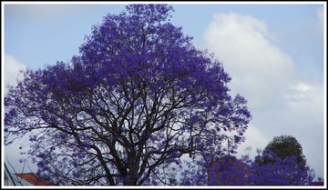 IMGP5924.JPG