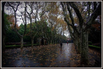 IMGP6289.JPG