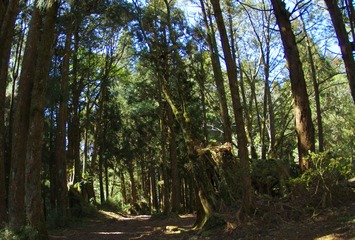 IMGP7359.JPG