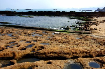 IMGP7737.JPG