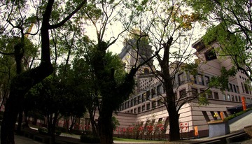 IMGP7236.JPG