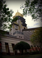 IMGP7238.JPG