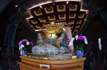 IMGP7244.JPG