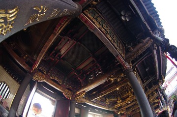 IMGP7894.JPG