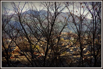 IMGP8065.JPG