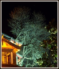 IMGP8122.JPG