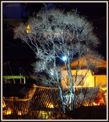 IMGP8739.JPG