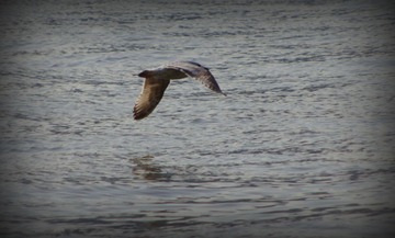 IMGP8802.JPG