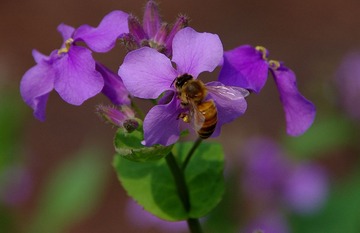 IMGP9037.JPG