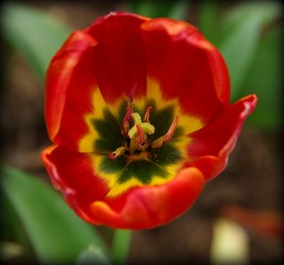 IMGP9076.JPG