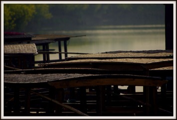 IMGP9860.JPG