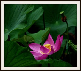 IMGP0835.JPG