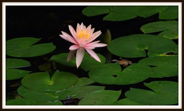 IMGP0870.JPG