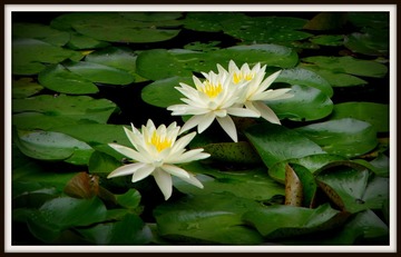 IMGP0872.JPG