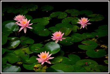 IMGP0874.JPG