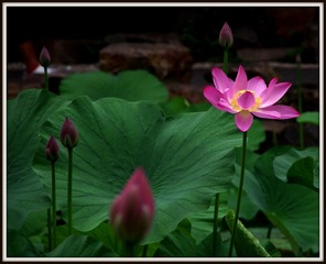 IMGP0897.JPG