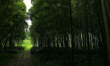 P1040025.JPG