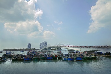 _DSC2492