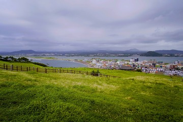 _DSC0952