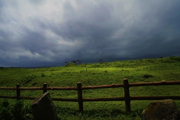 _DSC0969