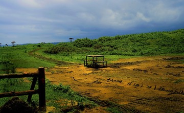 _DSC0972