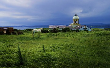 _DSC0975