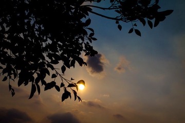 IMG_8264.jpg