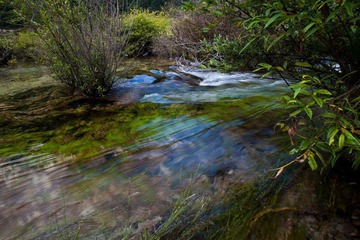 IMG_8415_缩小大小.jpg
