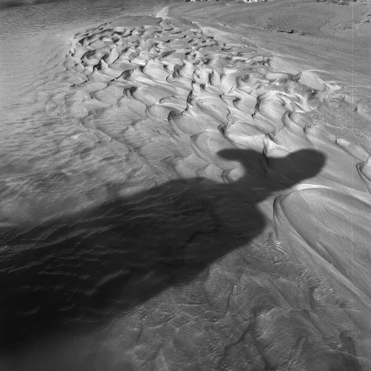 新疆 河床的人影