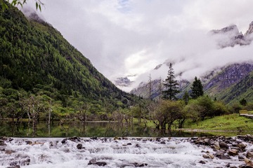 沉淀