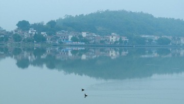 P1080921.jpg
